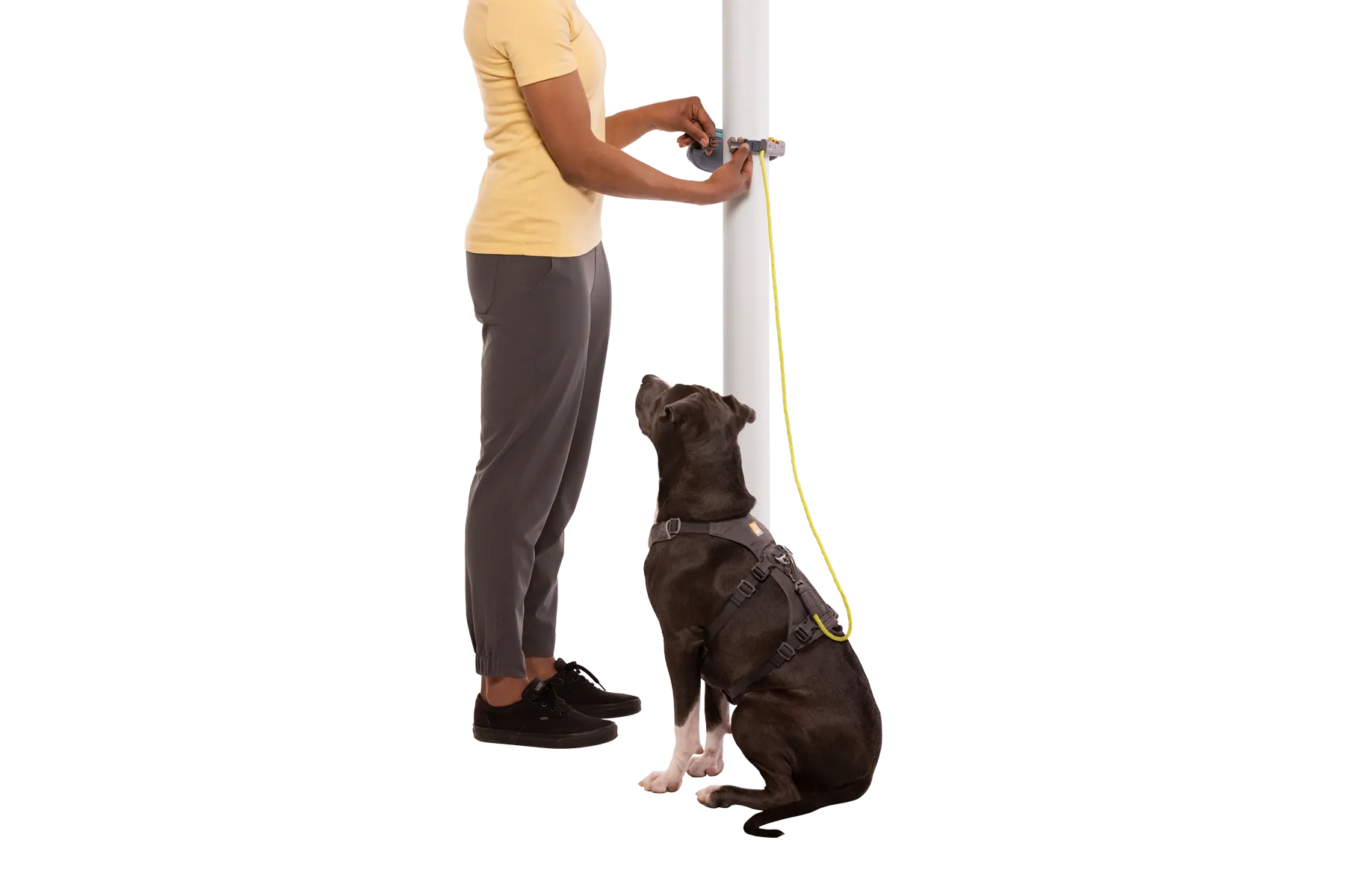 Hitch Hiker™ Leash