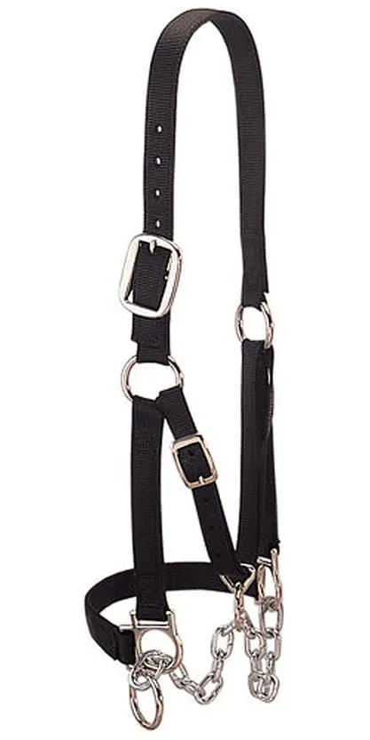 Weaver Heavy Duty Cow Restraint Halter, Black